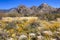 Catalina Mountains