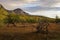 Catalina State Park, vivid colors