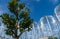 Catalpa bignonioides tree against metal structures with transparent domes over Jacaranda in middle of Fountain Infinity.