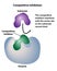 Catalyst Competitive Inhibition Active Site