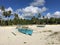 Catamaran Boats and palmtrees at the beach