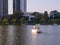 Catamaran in the form of a swan on a pond. boat with people on the lake. Leisure. City park with a lake