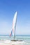 Catamaran with its colorful sails wide open