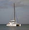 A catamaran motoring into the shelter of admiralty bay, bequia