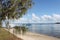 Catamaran Sail Boat in Harbor seen from beach with pine tree in foreground