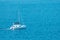 catamaran sailing in the sea