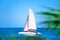 Catamaran with white sail in blue sea, palm branches background, people relax on boat, summer vacation sea trip on ship