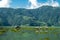 Catamarans with awnings are tied near a pier in the grass to the shores of Lake Feva, in Pokhara Nepal.