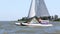 Catamarans go in the regatta by sea 009