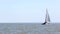 Catamarans go in the regatta by sea 017