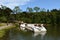 Catamarans in the shape of swans on Black Lake, Lago Negro, in Gramado, Brazil