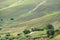 Catarratto Grapes Vineyard in Trapani Region