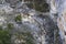 Catastrophic ecological drought in a river in the Verdon canyon in France