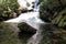 Catawba Falls in Pisgah National Forest