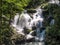 Catawba Falls in Pisgah National Forest