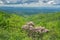 Catawba Rhododendron Shrub and Blue Ridge Mountains, Shenandoah Valley