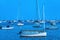 Catboat Sailboats Yachts Padanaram Harbor with Boats Dartmouth Massachusetts