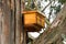 Catch bee hive in tree near George South Africa