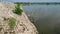 Catching fish with Chinese Fishing nets, Chinese fishing nets in Bangladesh, man catching fish with Chinese Fishing nets at a