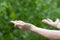 Catching rain drops. Man hand in the rain on the green nature background