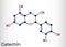 Catechin, epicatechin, flavonoid, C15H14O6 molecule. It is flavanol, a type of natural phenol and antioxidant. Skeletal chemical