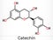 Catechin, flavonoid, C15H14O6 molecule. It is flavanol, a type of natural phenol and antioxidant. Skeletal chemical formula