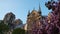 Catedral Notre-Dame de Paris in the spring