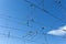 Catenary with blue sky