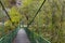 Catenary bridge over river Iskar in the autumn, Iskar defile, Lakatnik