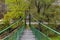 Catenary bridge over river Iskar in the autumn, Iskar defile, Lakatnik