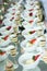 Catering Food Wedding Event Table. Buffet line in Wedding. Delicious appetizer close-up.