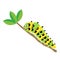 Caterpillar animal cartoon character vector illustration