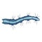 Caterpillar blue insect icon, nature and entomology