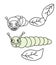 Caterpillar coloring page