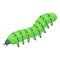 Caterpillar icon isometric vector. Worm larva