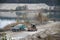 Caterpillar loader and dump truck works at the opencast mining quarry. Heavy machinery in the open pit at river. Dozer and truck