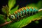 Caterpillar munching on vibrant green leaf, showcasing details of its tiny mandibles and colorful body. Generative AI