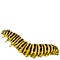 Caterpillar sketch vector graphics