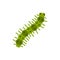 Caterpillar worm grub single flat vector icon