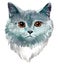 Catface. Gray Cat Meme. Beautiful fluffy grey cat. Watercolor illustration of Pets.