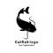 catfish logos