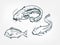 Catfish sheatfish set collection japanese chinese oriental vector ink style design elements illustration