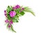 Catharanthus flowers and bougainvillea with palm leaves in corner tropical arrangement