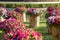 Catharanthus roseus on weave basket decoration