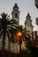 Cathedral Baroque and palm trees,