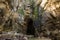 Cathedral Caves, Catlins, South Island,New Zealand