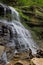 Cathedral Falls at Gauley Bridge