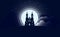 Cathedral, gothic catholic christian church or temple, at night against the background of the starry sky and the full moon. Vector