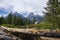 Cathedral Group in Grand Teton National Park behind a log