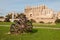 The Cathedral of Majorca in Spain